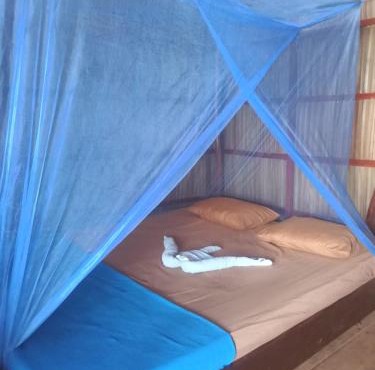 Wobbegong Homestay