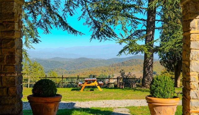 Wonderful private villa with WIFI, private pool, A/C, TV and pets allowed, close to Arezzo