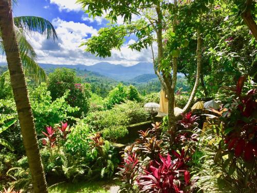 Gunung Paradis 