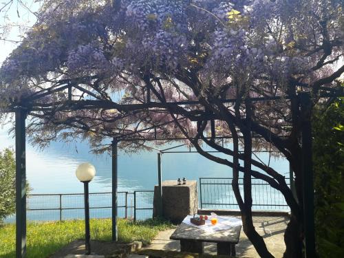 Iseolakerental La Villina Zù 