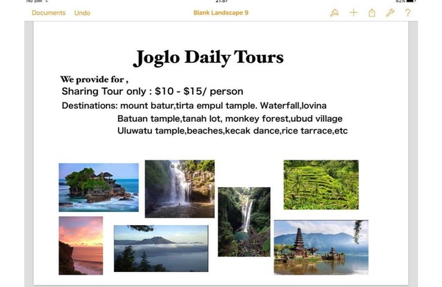 Joglo villa Bali #11 with swimming pool