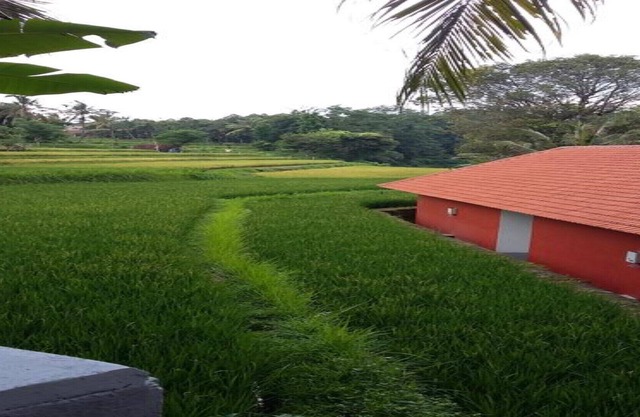 Lotus Guesthouse Place The North Bali 
