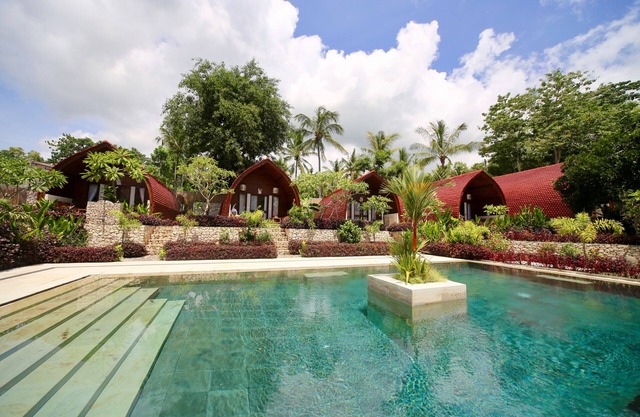 Jungle Paradise 