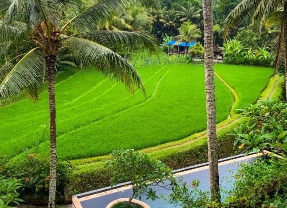 Umasari Rice Terrace Villa 