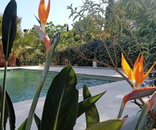 Villa La Croisette