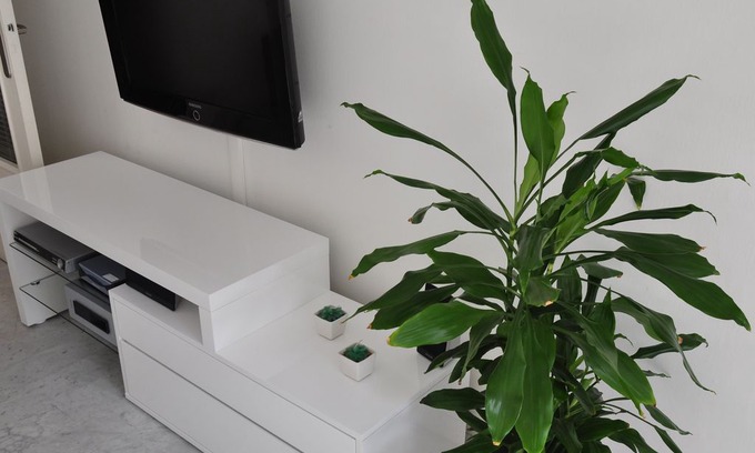 La Madeleine Apartment | 10 minutes from the Promenade des Anglais, beach, WIFI, balcony, garage, Nice