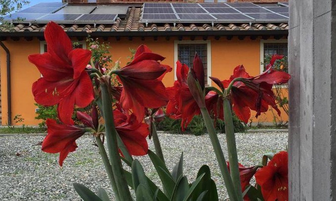 Capannori Bed & Breakfast | 20 m² Bed and breakfast ∙ 3 guests