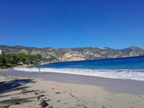 Saint-Jean-Cap-Ferrat Apartment | 25 m² Apartment ∙ 1 bedroom ∙ 2 guests