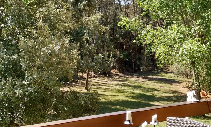 Viareggio Apartment | 300 mt from the sea, terrace in the green in Viareggio.