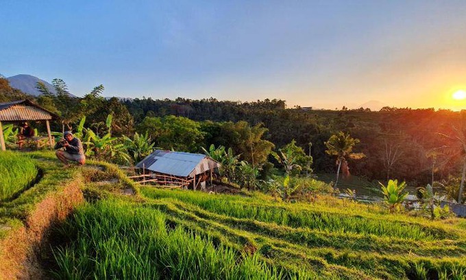 Penebel Cabin | 36 m² Lodge ∙ 2 bedrooms ∙ 6 guests