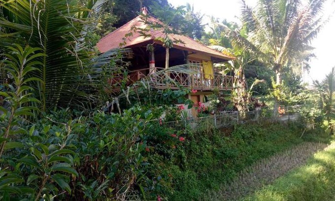 Penebel Cabin | 49 m² Lodge ∙ 2 guests