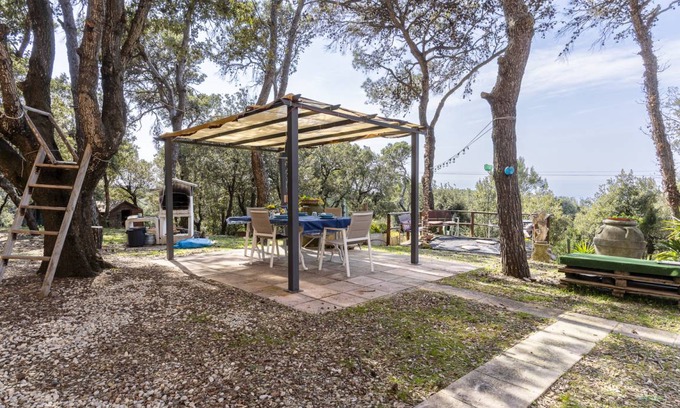 Rosignano Marittimo Apartment | 50 m² Apartment ∙ 1 bedroom ∙ 3 guests