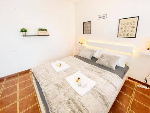 Pisa Apartment | 50 m² Apartment ∙ 1 bedroom ∙ 4 guests