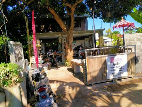 Lovina Hostel | Apollo Hostel