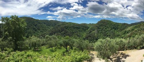 Stabbiano Apartment | Caddelovi