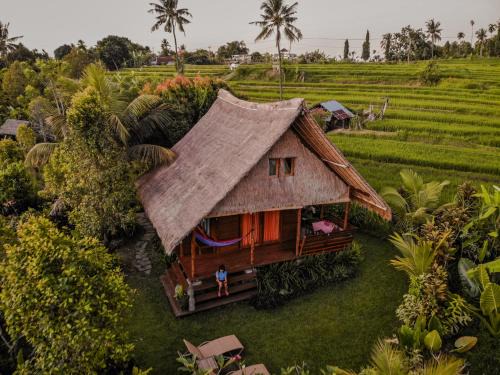 Sukasada House | Cute Eco Cottage Near 7 Waterfalls