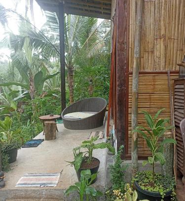 Selemadeg Other | Jungle hous