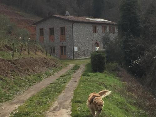 Borgo a Mozzano Apartment | La Difesa
