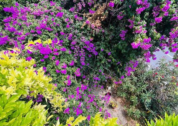 Grasse House | Maison parfumeur Grasse