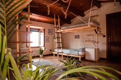 Calci Hostel | Social Garden - Sharing Room