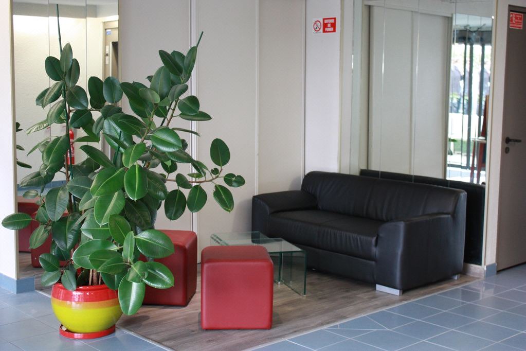 Photo of Livingroom in Saint-Isidore