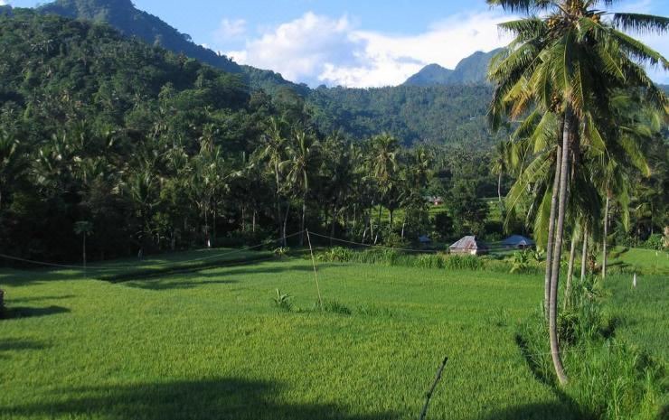Photo of Outdoor in Sawan