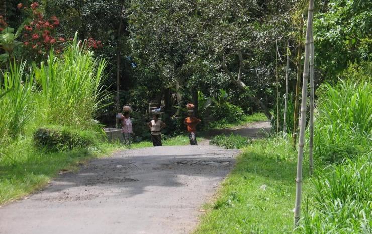 Photo of Others in Sawan