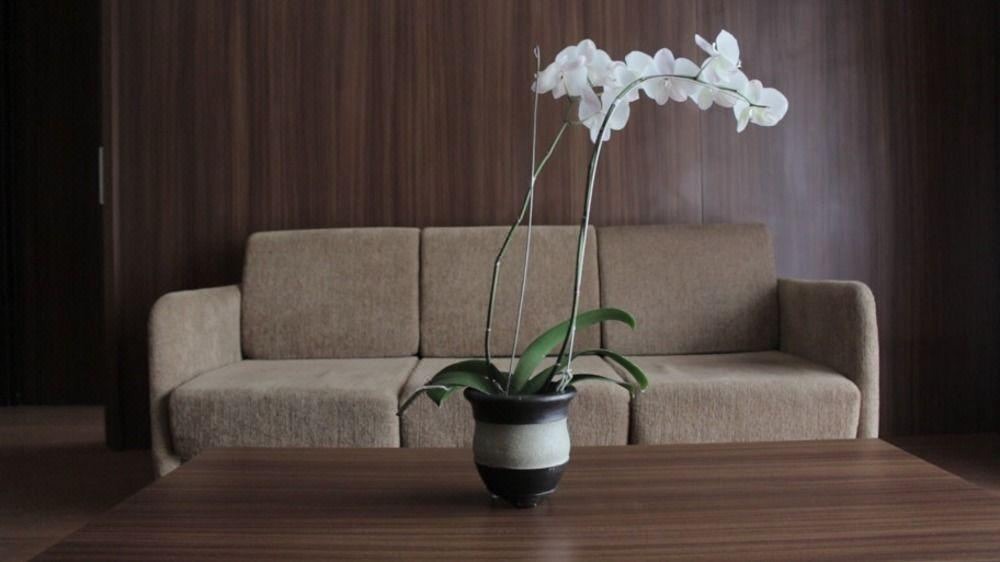 Photo of Livingroom in Sukabumi