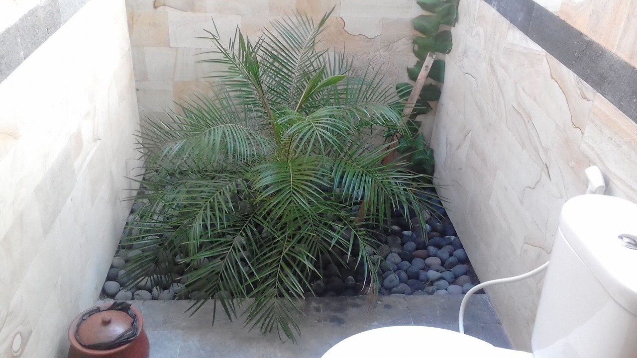 Photo of Bathroom in Seraya