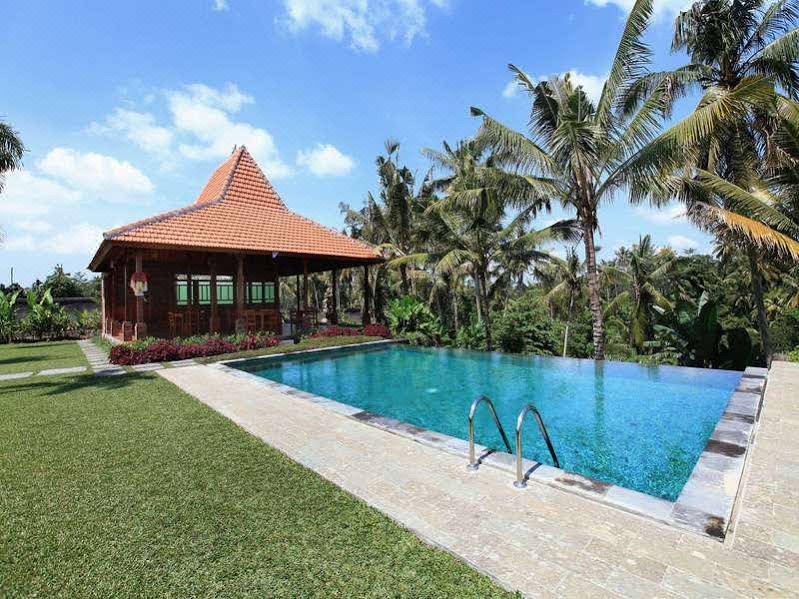Photo of Outdoor in Ubud City-Centre