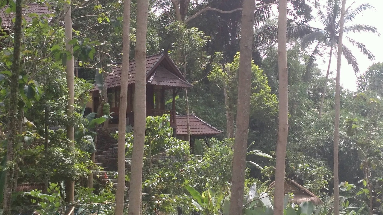 Photo of Others in Sebatu