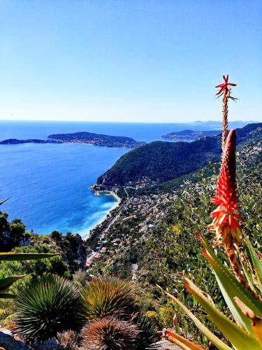 Photo of Others in Eze