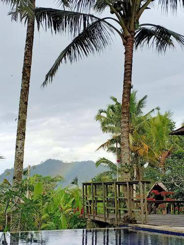 Photo of Others in Selat