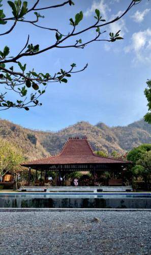 Photo of Others in Pemuteran