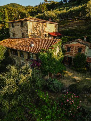 Photo of Others in Petrognano
