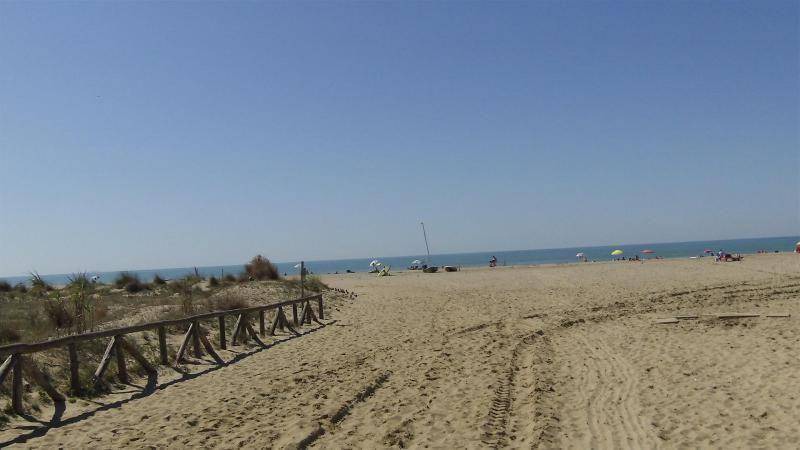 Photo of Others in Viareggio