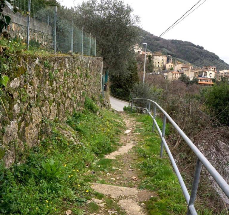 Photo of Others in Pietrasanta