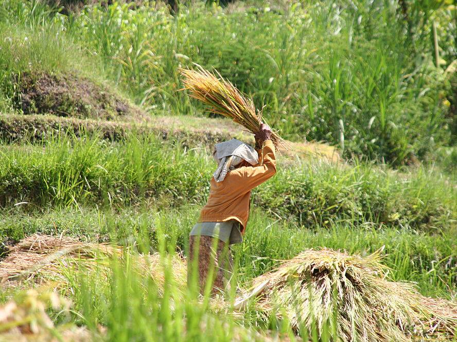 Photo of Others in Dencarik
