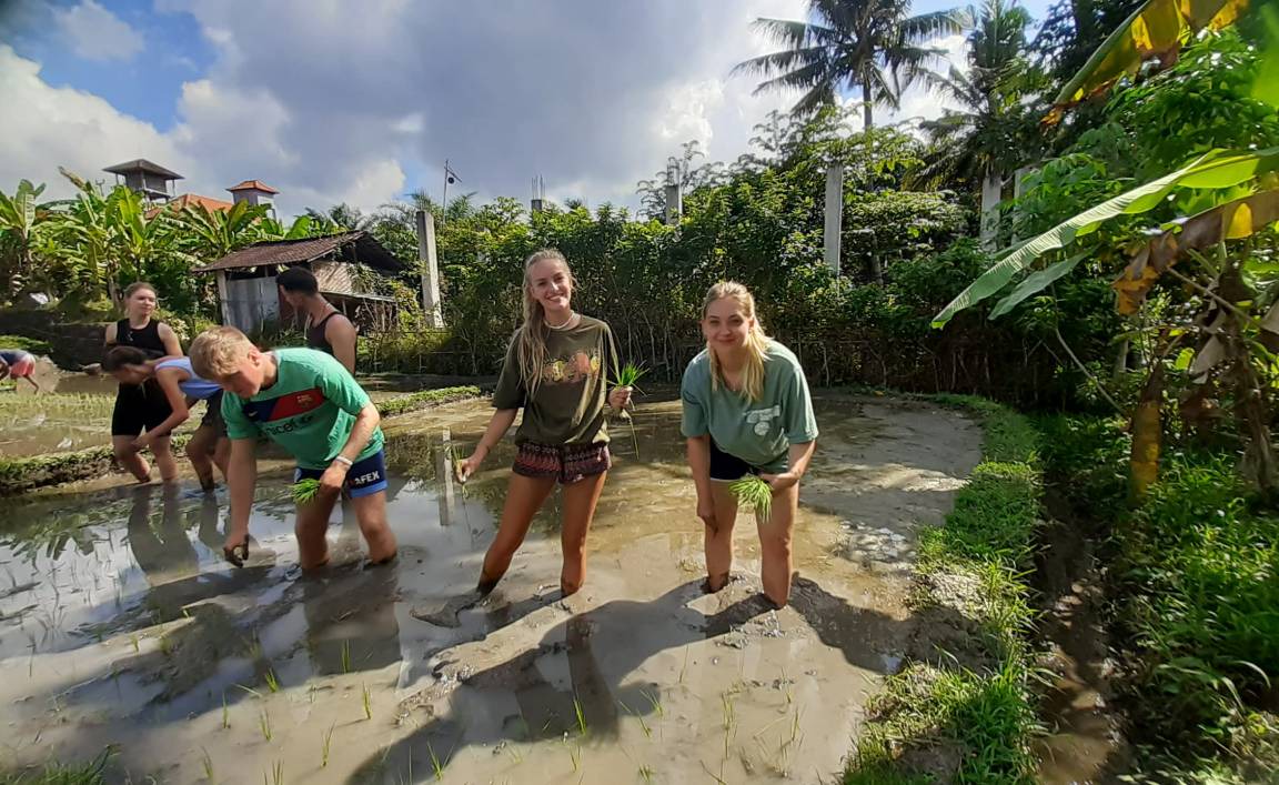 Photo of Others in Ubud City-Centre