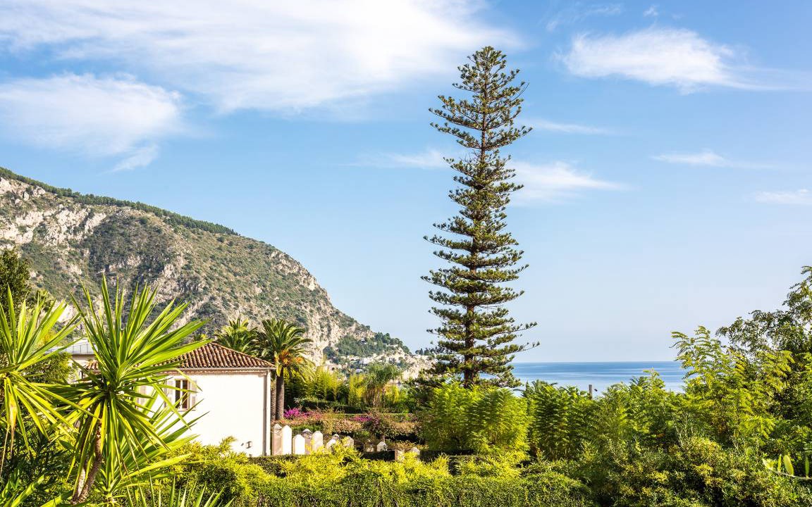 Photo of Others in Eze