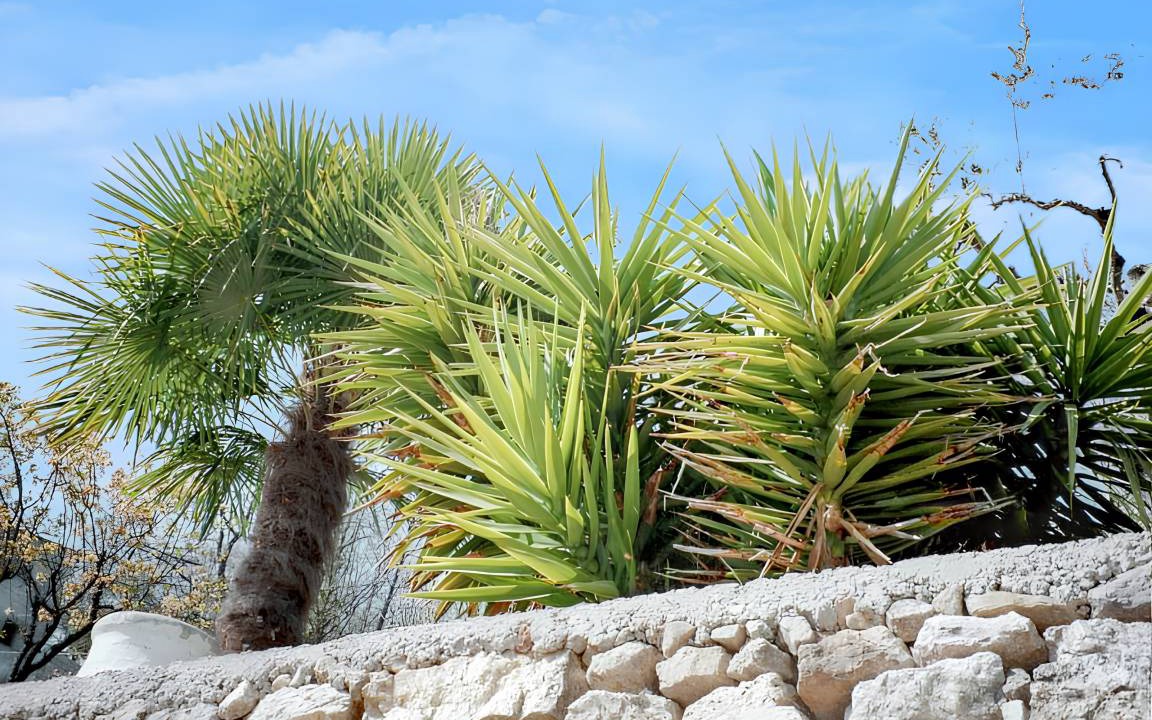 Photo of Others in Magagnosc
