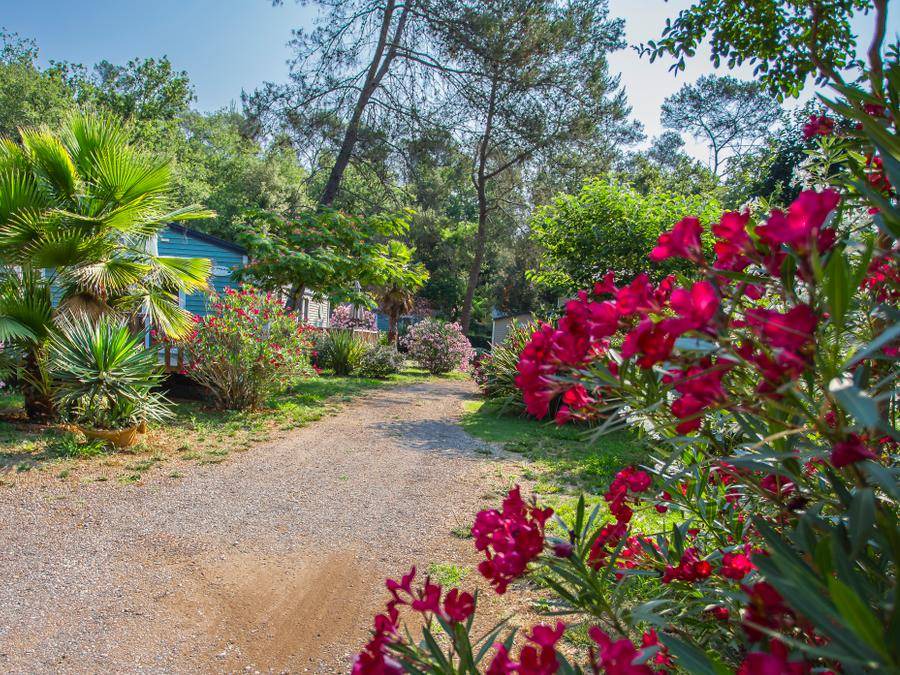 Photo of Outdoor in La Colle-sur-Loup