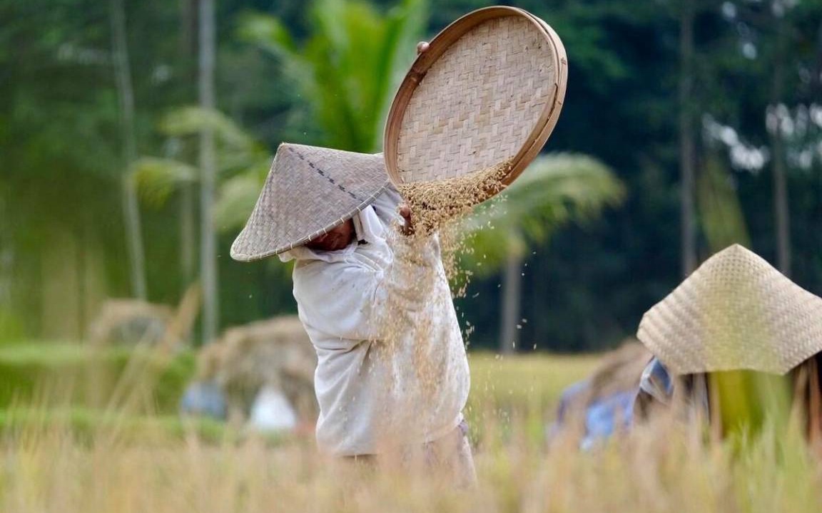 Photo of Others in Sebatu