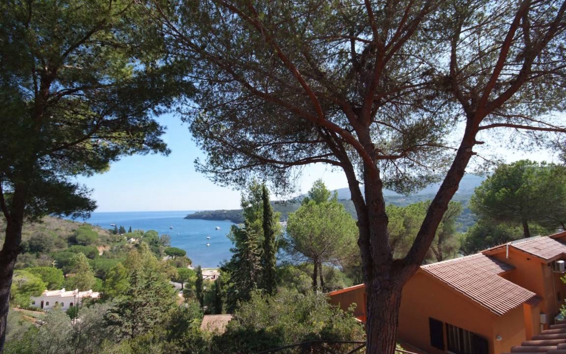 Photo of Others in Mola