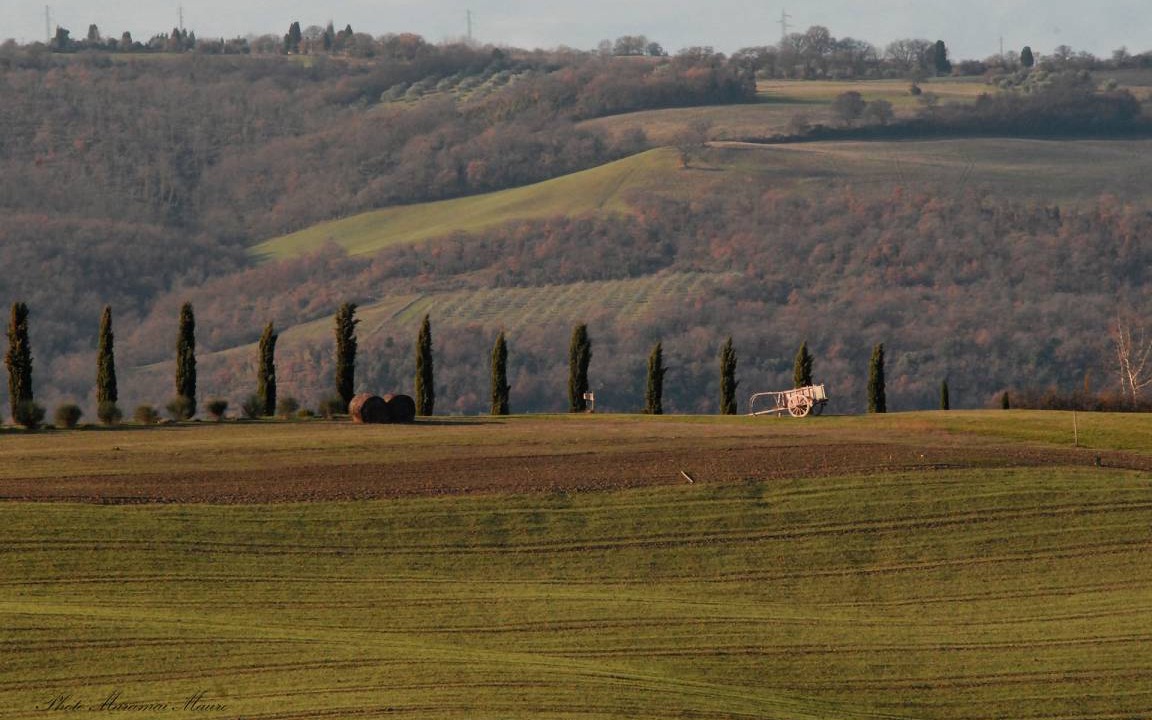 Photo of Others in Chianciano Terme