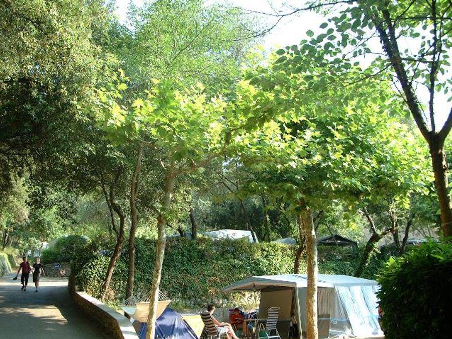 Photo of Outdoor in La Colle-sur-Loup