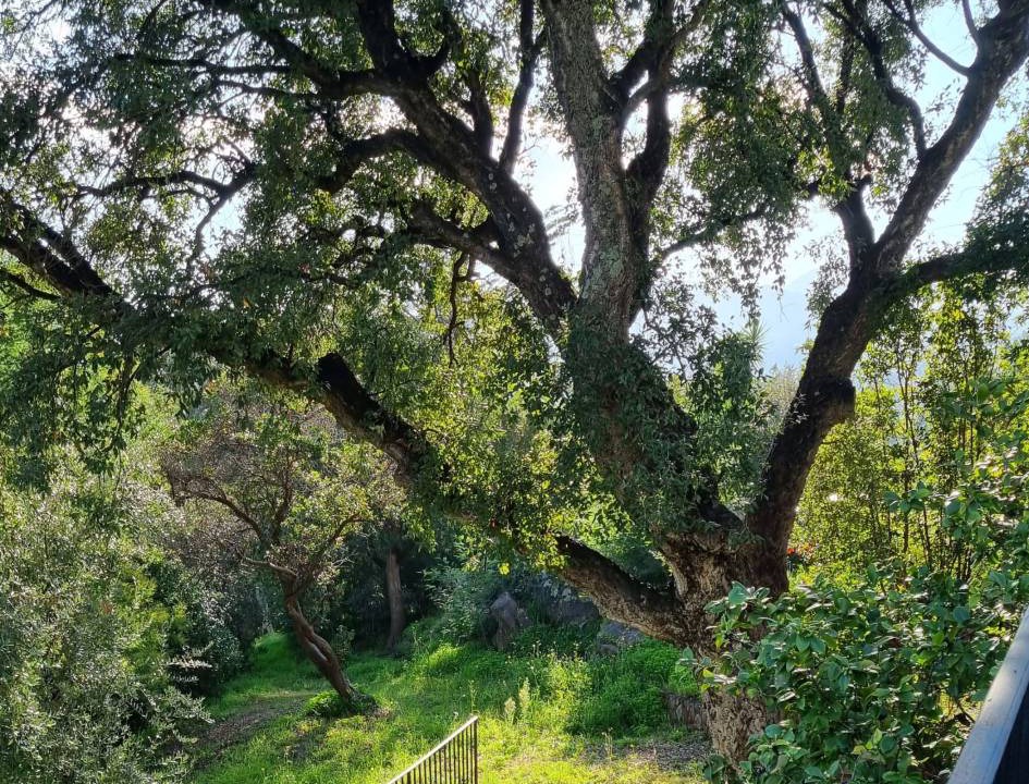 Photo of Others in Les Termes