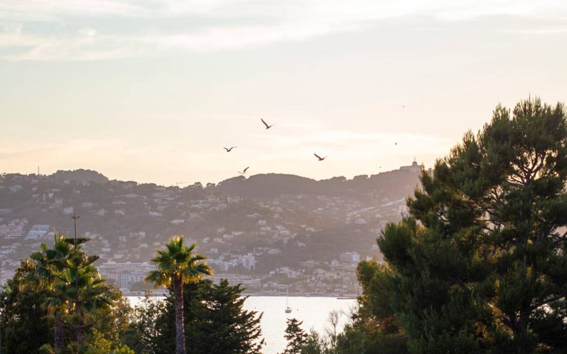 Photo of Others in Cap-d'Antibes