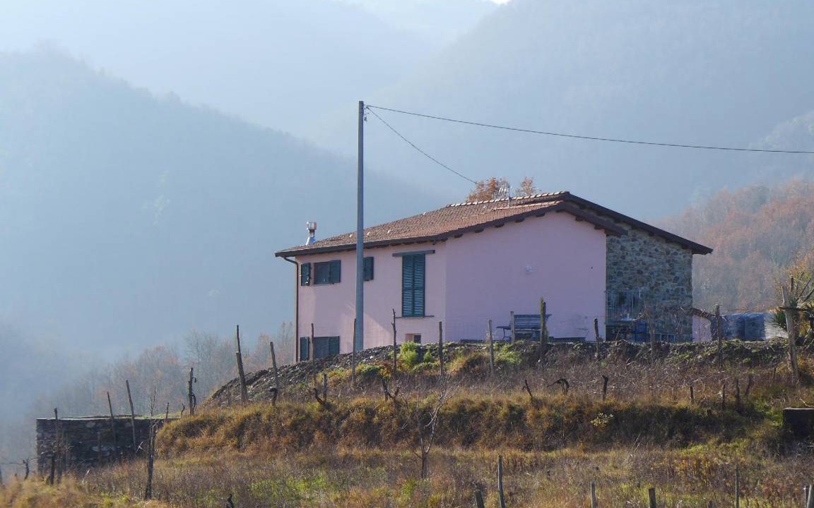 Photo of Others in Aulla