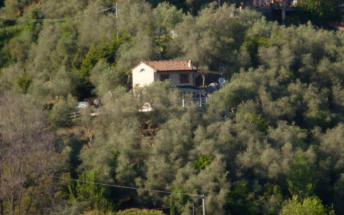 Photo of Others in Camaiore